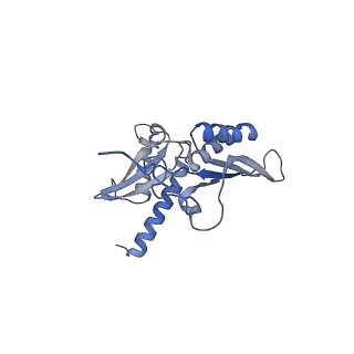 35638_8ipb_ia_v1-0
Wheat 80S ribosome pausing on AUG-Stop with cycloheximide