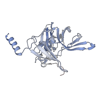 35638_8ipb_ja_v1-0
Wheat 80S ribosome pausing on AUG-Stop with cycloheximide