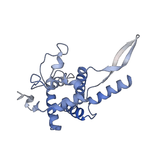 35638_8ipb_ka_v1-0
Wheat 80S ribosome pausing on AUG-Stop with cycloheximide