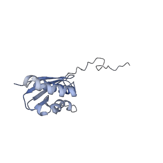 35638_8ipb_la_v1-0
Wheat 80S ribosome pausing on AUG-Stop with cycloheximide