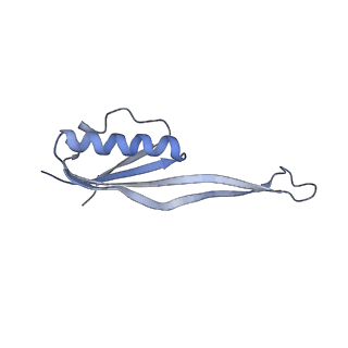 35638_8ipb_ma_v1-0
Wheat 80S ribosome pausing on AUG-Stop with cycloheximide