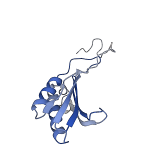 35638_8ipb_na_v1-0
Wheat 80S ribosome pausing on AUG-Stop with cycloheximide