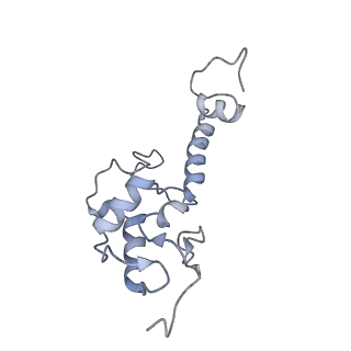 35638_8ipb_oa_v1-0
Wheat 80S ribosome pausing on AUG-Stop with cycloheximide