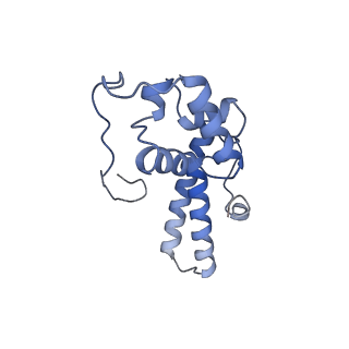 35638_8ipb_pa_v1-0
Wheat 80S ribosome pausing on AUG-Stop with cycloheximide