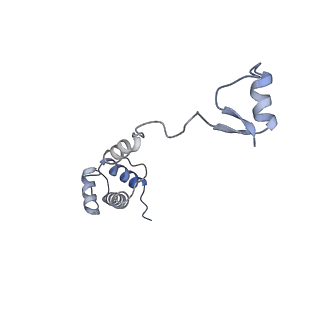 35638_8ipb_qa_v1-0
Wheat 80S ribosome pausing on AUG-Stop with cycloheximide