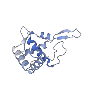 35638_8ipb_ra_v1-0
Wheat 80S ribosome pausing on AUG-Stop with cycloheximide