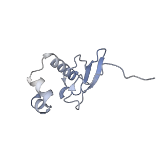 35638_8ipb_sa_v1-0
Wheat 80S ribosome pausing on AUG-Stop with cycloheximide