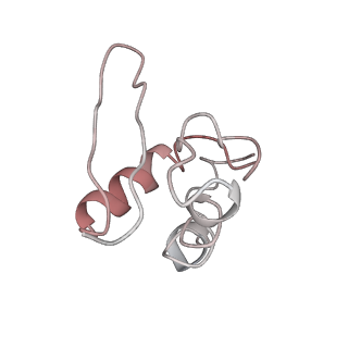 35638_8ipb_ta_v1-0
Wheat 80S ribosome pausing on AUG-Stop with cycloheximide