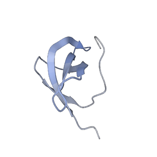 35638_8ipb_ua_v1-0
Wheat 80S ribosome pausing on AUG-Stop with cycloheximide