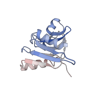 35638_8ipb_va_v1-0
Wheat 80S ribosome pausing on AUG-Stop with cycloheximide