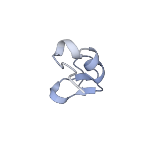 35638_8ipb_wa_v1-0
Wheat 80S ribosome pausing on AUG-Stop with cycloheximide