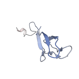 35638_8ipb_xa_v1-0
Wheat 80S ribosome pausing on AUG-Stop with cycloheximide