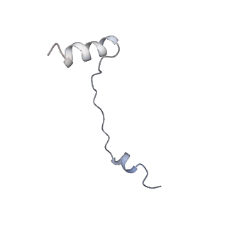 35638_8ipb_ya_v1-0
Wheat 80S ribosome pausing on AUG-Stop with cycloheximide