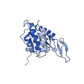 35638_8ipb_za_v1-0
Wheat 80S ribosome pausing on AUG-Stop with cycloheximide