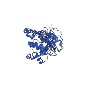 35641_8ipr_A_v1-1
Cryo-EM structure of heme transporter CydDC from Mycobacterium smegmatis in the outward facing ATP bound state