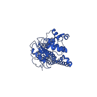 35641_8ipr_D_v1-1
Cryo-EM structure of heme transporter CydDC from Mycobacterium smegmatis in the outward facing ATP bound state