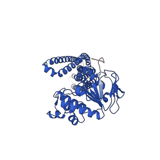 35641_8ipr_E_v1-1
Cryo-EM structure of heme transporter CydDC from Mycobacterium smegmatis in the outward facing ATP bound state
