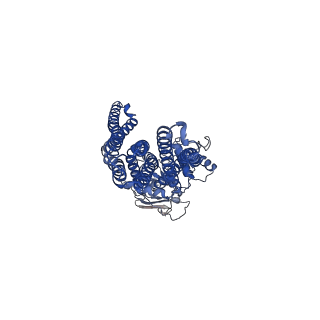35642_8ips_A_v1-1
Cryo-EM structure of heme transporter CydDC from Escherichia coli in the inward facing heme loading state