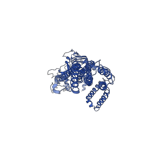 35642_8ips_B_v1-1
Cryo-EM structure of heme transporter CydDC from Escherichia coli in the inward facing heme loading state