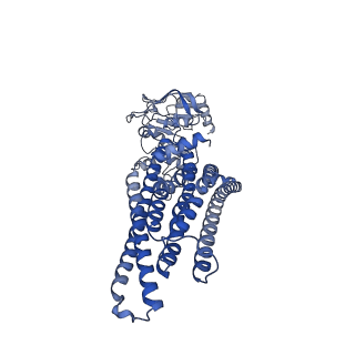 35643_8ipt_A_v1-1
Cryo-EM structure of heme transporter CydDC from Escherichia coli in the occluded ATP bound state