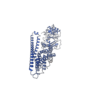 35643_8ipt_C_v1-1
Cryo-EM structure of heme transporter CydDC from Escherichia coli in the occluded ATP bound state