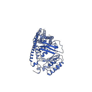 35643_8ipt_D_v1-1
Cryo-EM structure of heme transporter CydDC from Escherichia coli in the occluded ATP bound state