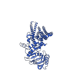 35643_8ipt_E_v1-1
Cryo-EM structure of heme transporter CydDC from Escherichia coli in the occluded ATP bound state