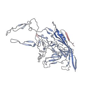 8099_5ipi_2_v1-4
Structure of Adeno-associated virus type 2 VLP