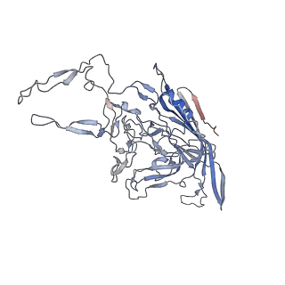 8099_5ipi_2_v1-5
Structure of Adeno-associated virus type 2 VLP