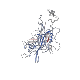 8099_5ipi_3_v1-4
Structure of Adeno-associated virus type 2 VLP