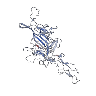 8099_5ipi_4_v1-4
Structure of Adeno-associated virus type 2 VLP
