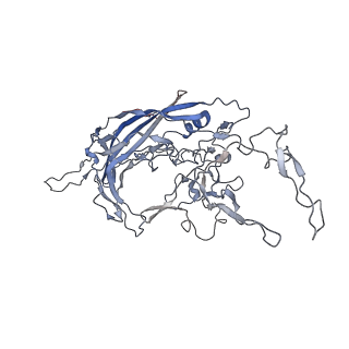 8099_5ipi_6_v1-4
Structure of Adeno-associated virus type 2 VLP