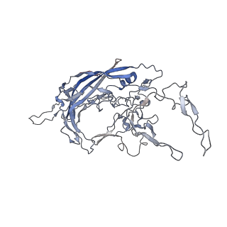 8099_5ipi_6_v1-5
Structure of Adeno-associated virus type 2 VLP