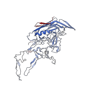 8099_5ipi_7_v1-4
Structure of Adeno-associated virus type 2 VLP