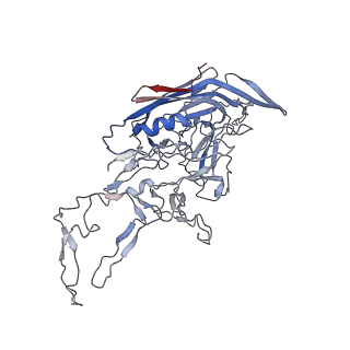 8099_5ipi_7_v1-5
Structure of Adeno-associated virus type 2 VLP