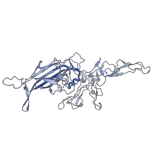 8099_5ipi_8_v1-4
Structure of Adeno-associated virus type 2 VLP