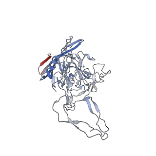 8099_5ipi_B_v1-4
Structure of Adeno-associated virus type 2 VLP