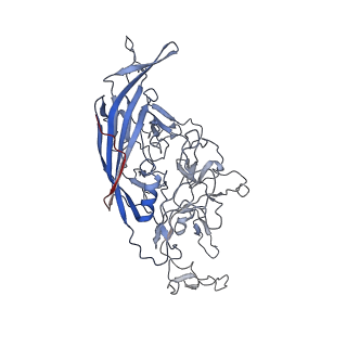 8099_5ipi_C_v1-4
Structure of Adeno-associated virus type 2 VLP