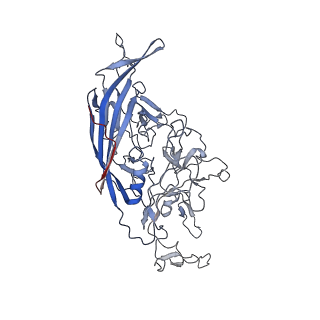 8099_5ipi_C_v1-5
Structure of Adeno-associated virus type 2 VLP