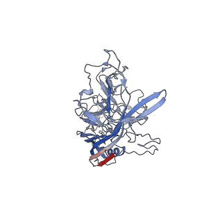 8099_5ipi_D_v1-4
Structure of Adeno-associated virus type 2 VLP