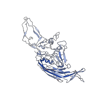 8099_5ipi_E_v1-5
Structure of Adeno-associated virus type 2 VLP