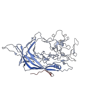 8099_5ipi_F_v1-4
Structure of Adeno-associated virus type 2 VLP