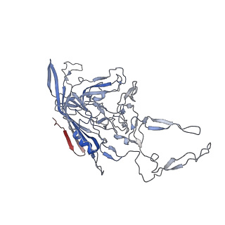 8099_5ipi_G_v1-5
Structure of Adeno-associated virus type 2 VLP