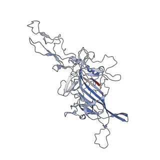 8099_5ipi_H_v1-4
Structure of Adeno-associated virus type 2 VLP