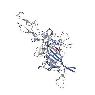 8099_5ipi_H_v1-5
Structure of Adeno-associated virus type 2 VLP