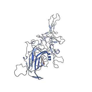 8099_5ipi_I_v1-4
Structure of Adeno-associated virus type 2 VLP