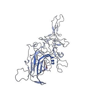 8099_5ipi_I_v1-5
Structure of Adeno-associated virus type 2 VLP