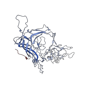 8099_5ipi_J_v1-4
Structure of Adeno-associated virus type 2 VLP