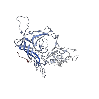 8099_5ipi_J_v1-5
Structure of Adeno-associated virus type 2 VLP