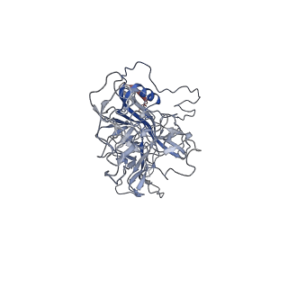 8099_5ipi_K_v1-4
Structure of Adeno-associated virus type 2 VLP